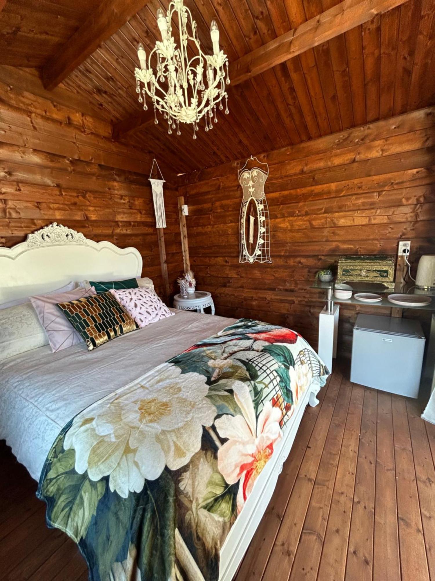 The Petite Suite Havelock Exterior photo